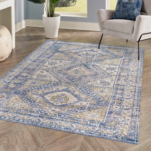 Darija Ornate Geometric Medallion Area Rug