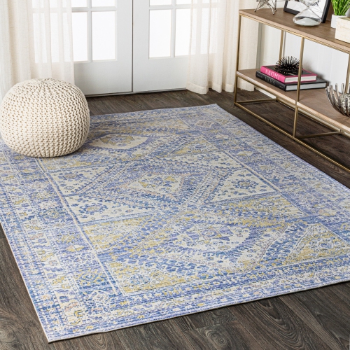 Darija Ornate Geometric Medallion Area Rug