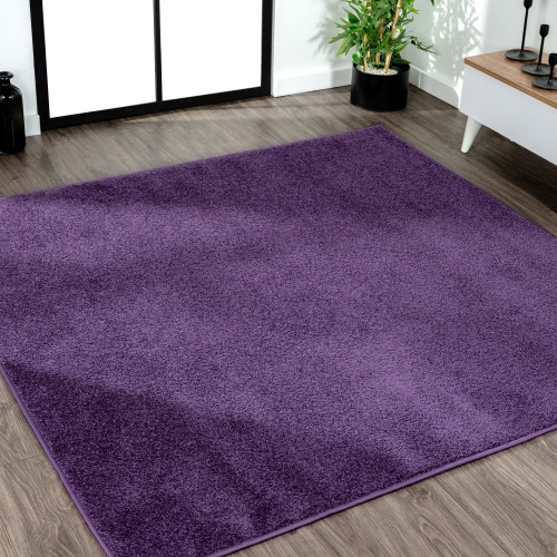 Haze Solid Low Pile Area Rug Purple