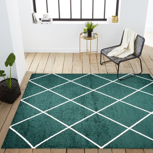 Cole Minimalist Diamond Trellis Area Rug