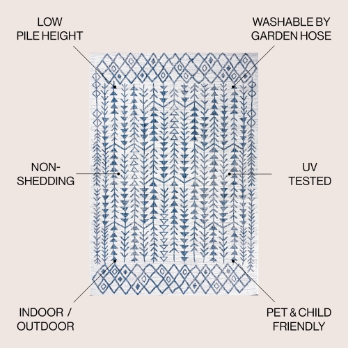 Tokay Bohemian Geometric Indoor/Outdoor Area Rug