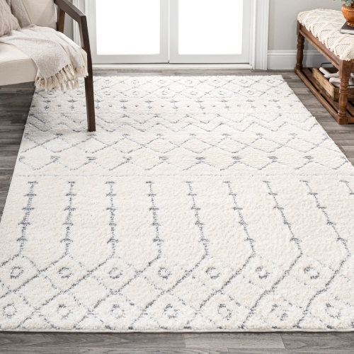 Pia Moroccan Trellis Plush Carved Area Rug