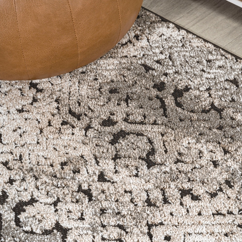 Duenas High-Low Shabby Damask Area Rug