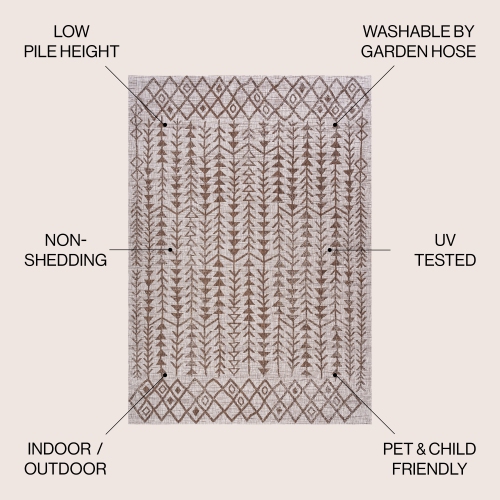 Tokay Bohemian Geometric Indoor/Outdoor Area Rug