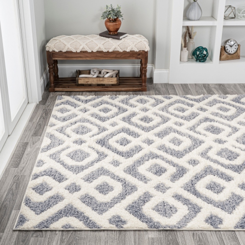 Astrid Retro Trellis High-Low Area Rug
