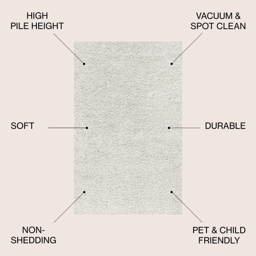Mercer Shag Plush Area Rug