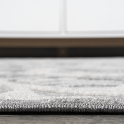 Lucena Modern Medallion High-Low Indoor/Outdoor Area Rug