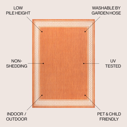 Tapis d'intérieur/d'extérieur à bordure diamant classique Lucia