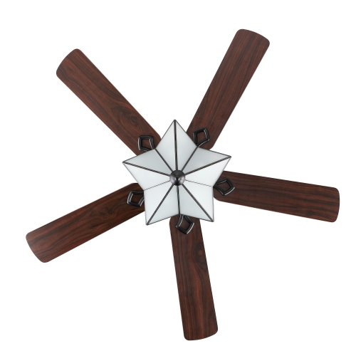 Moravia Farmhouse Rustic Iron Star Shade LED Ceiling Fan with Remote