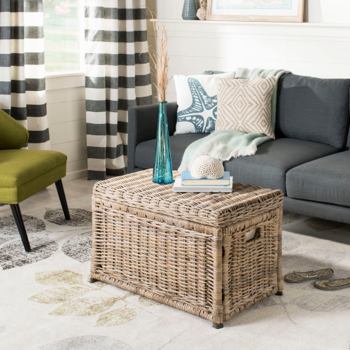 Elijah Wicker Storage Trunk