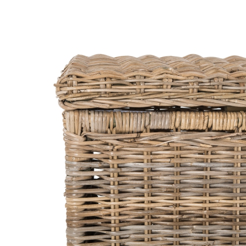 Elijah Wicker Storage Trunk