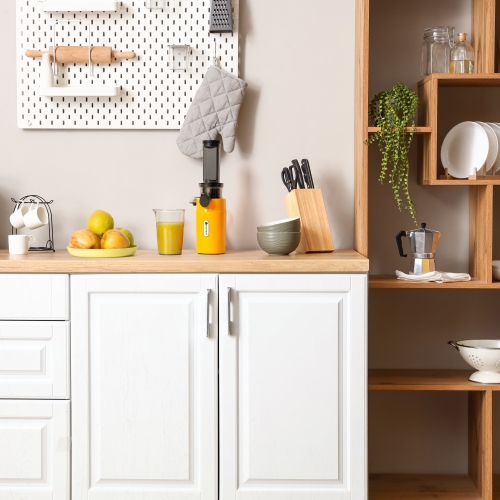 Ventray Essential Ginnie Juicer, Compact & Slow, Nutrient Dense, Best Gift for Family