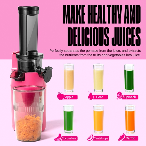 Centrifugeuse Ginnie de Ventray Essential, compact et lent, riche en nutriments, meilleur cadeau pour la famille