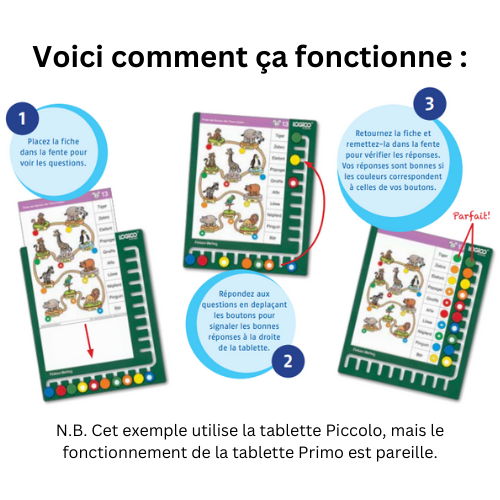 LOGICO The Learning Game - Primo Starter Kit – 1 Primo Book + 1 Primo Board - French Language Version