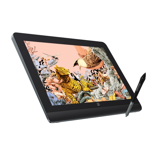 XPPen Artist Pro 16 (Gen 2) Graphic Display 16'' High Resolution  (2560x1600) Drawing Monitor with Advanced X3 Pro Smart Chip Stylus 16384  levels Pen 