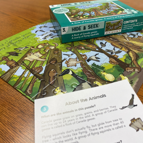 Hide and Seek Book + Squirrel Puzzle