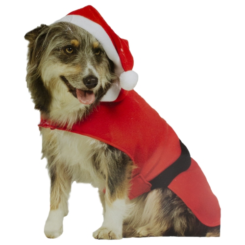 Costume de chien père Noël de 32 po avec chapeau - taille : M