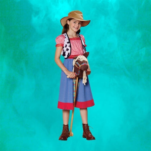 Red and Blue Checkered Cowgirl Child Halloween Costume - Large