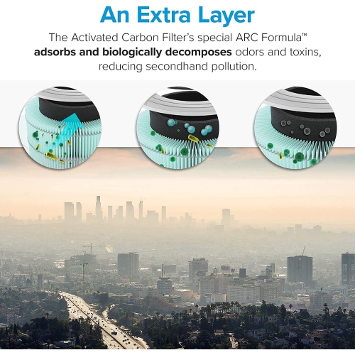 Filtre de rechange pour purificateur d'air Core 300 de Levoit - Filtre antifumée - Filtre absorbant à toxines
