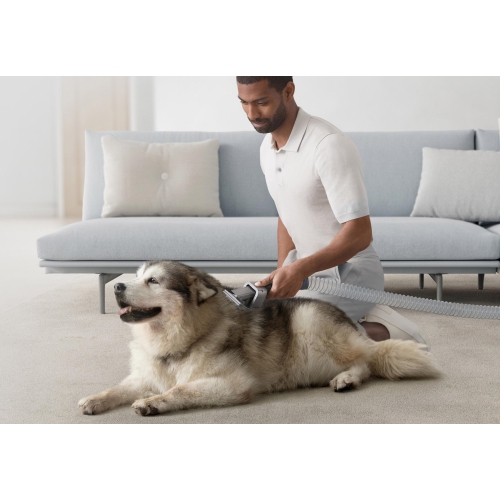 Dyson Official Outlet - New Pet Grooming Kit by DYSON - Refurbished condition - Image 2