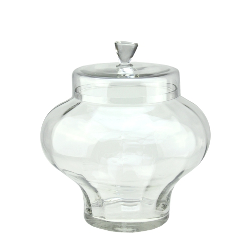 Transparent Glass Container with Lid - 14.5"