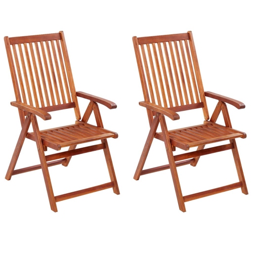 Image 1 de 8.. Chaises de jardin pliantes VidaXL 2 pièces en bois d'acacia massif brun