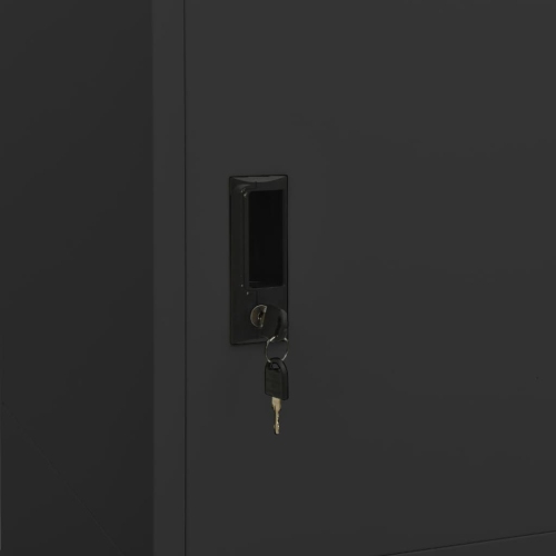 vidaXL Wardrobe Anthracite 80x50x180 cm Steel