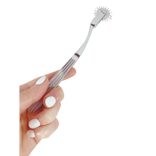 V For Vibes Wartenberg Wheel, Pinwheel Terra - Silver