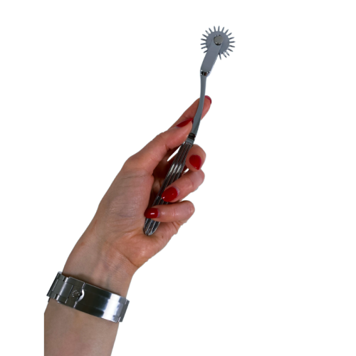 V For Vibes Wartenberg Wheel, Pinwheel Terra - Silver