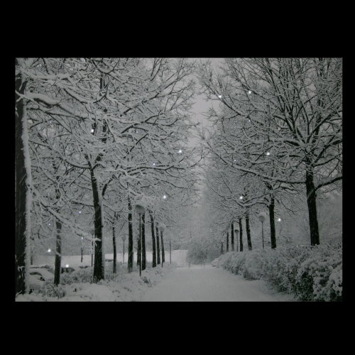 LED Lighted Fiber Optic Snow Covered Trees Christmas Canvas Wall Art - 11.75" x 15.75"