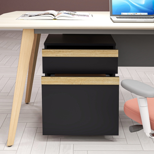 Vinsetto Vertical Filing Cabinet with 2 Drawers, File Cabinet with Hanging Bar for Letter, A4 and Legal Sized Files, Printer Stand with 5 Wheels for