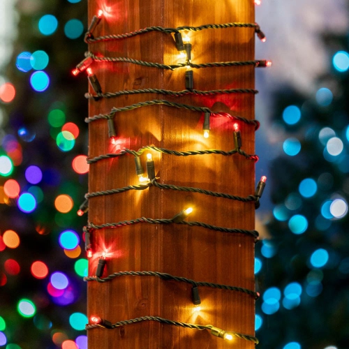 Jeu de mini lumières de Noël LED de 25 pi 50 sur fil vert, ampoules grand-angle 5&nbsp;mm, connectables, décoration intérieure/extérieure, homologuée