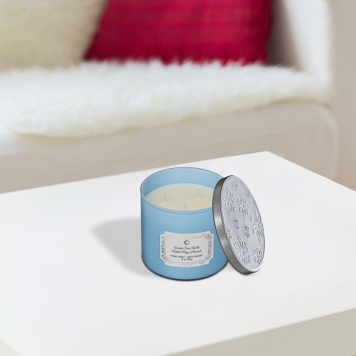 Maison Concepts Christmas 14Oz 3 Wick Jar Candle Winter Snow Walk