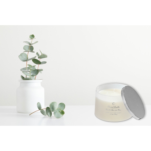 Maison Concepts 18Oz 3 Wick High Gloss Taper Candle Coconut Vanilla