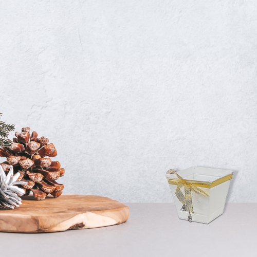 Maison Concepts Christmas White Snowflake Metal Planter Square