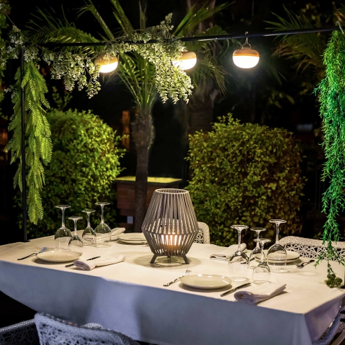 Newgarden Cherry Portable LED Lightbulb with Solar Panel, Beige