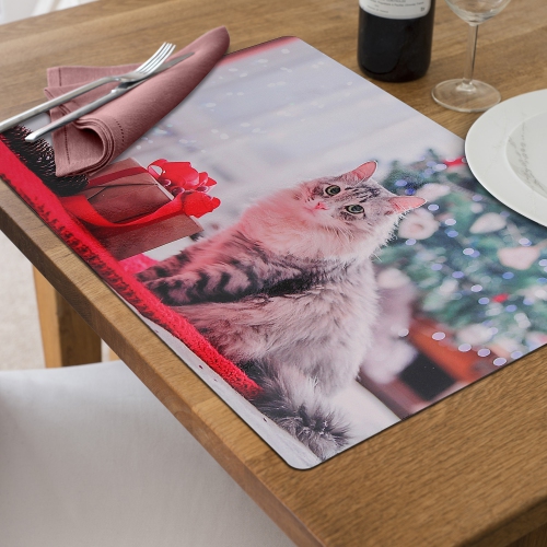 Maison Concepts Christmas Plastic Placemat Meowy Catmas - Set of 12