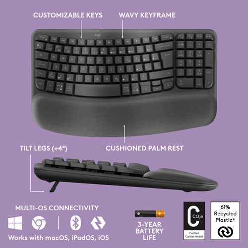 Logitech Wave Keys MK670 Wireless Optical Ergonomic Keyboard & Mouse Combo - Graphite - French