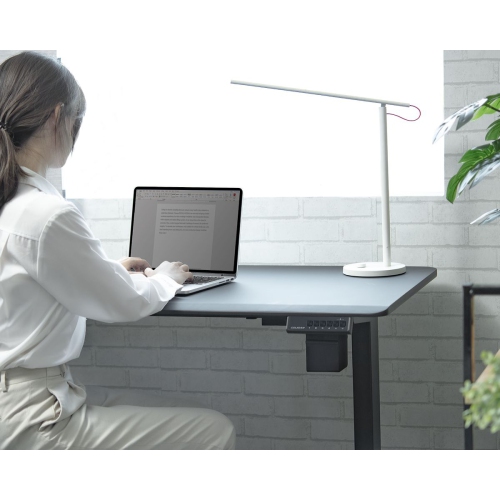 Cougar ROYAL MOSSA 120 47.2" Electric Adjustable Standing Desk with Anti-Scratch Frosted Surface, Cable Grommet, LCD Height Display Controller,