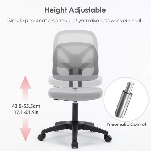 Ergonomic Home Office Chair up to 250lbs ,Computer Chair Desk Chair Height Adjustable Task Chair with 360-Degree Swivel Casters