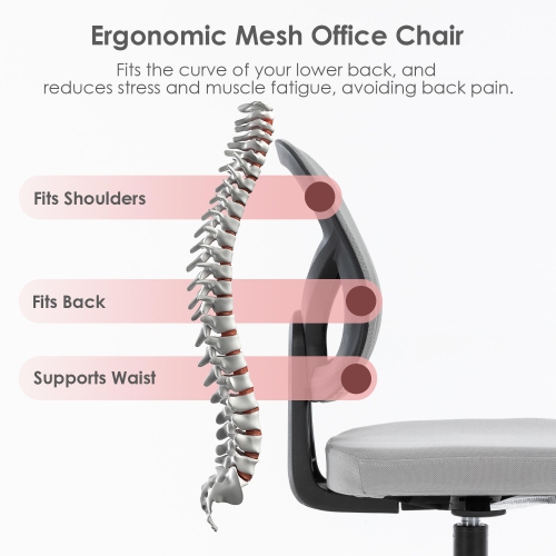 Ergonomic Home Office Chair up to 250lbs ,Computer Chair Desk Chair Height Adjustable Task Chair with 360-Degree Swivel Casters