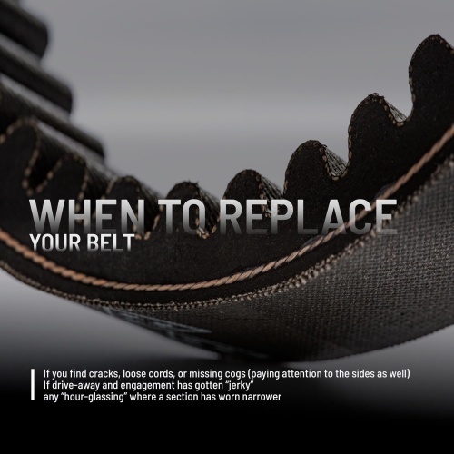 Polaris 3211180 Genuine Drive Belt