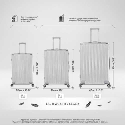 WINGOMART 2-Piece Luggage Set Lightweight Durable PC+ABS Hardshell, Double Spinner Wheels, TSA Lock - 20in & 28in - Silver