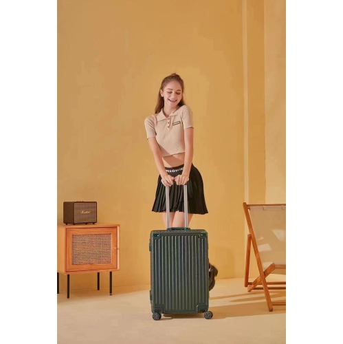 WINGOMART 2-Piece Luggage Set Lightweight Durable PC+ABS Hardshell, Double Spinner Wheels, TSA Lock - 20in & 28in - Silver