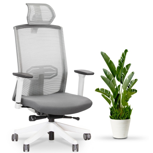 EFFYDESK BUSINESS BUNDLE: Height Adjustable Computer Standing Desk Small Oak White on Business White Frame + KarmaChair Adjustable Ergonomic Office