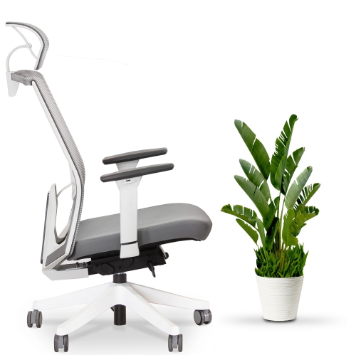 EFFYDESK BUSINESS BUNDLE: Height Adjustable Computer Standing Desk Small Oak White on Business White Frame + KarmaChair Adjustable Ergonomic Office