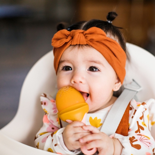 Boon 2-Pack PULP Silicone Feeder - Mauve/Pink