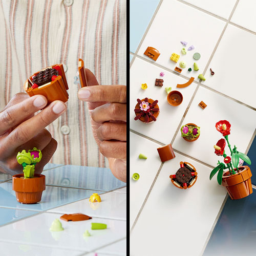 LEGO Botanical: Tiny Plants - 758 Pieces