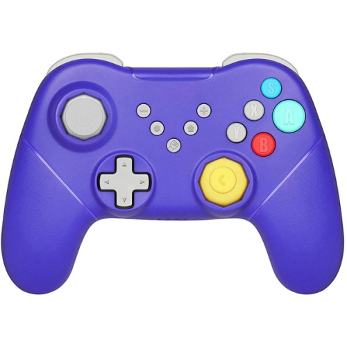 Duelist Smash Bros Custom NSwitch Controller Retro Fighers