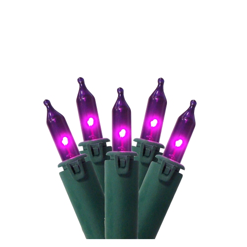 GKIBETHLEHEMLIGHTING  Commercial Mini Christmas Light Set - Purple - 45.5' Wire - 100Ct In Green
